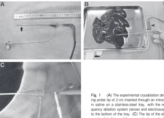 Fig. 1　 (A) The experimental cryoablation device: a cryoprobe with a project- project-ing probe tip of 2 cm inserted through an introducer sheath