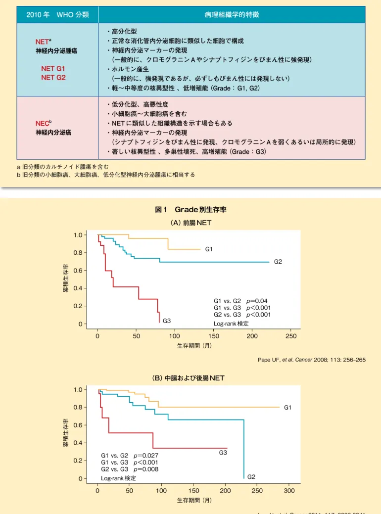 図 1　Grade 別生存率 （A）前腸 NET2010 年　WHO 分類  病理組織学的特徴NETa神経内分泌腫瘍　NET G1　NET G2・高分化型  ・正常な消化管内分泌細胞に類似した細胞で構成  ・神経内分泌マーカーの発現 （一般的に、クロモグラニン A やシナプトフィジンをびまん性に強発現） ・ホルモン産生（一般的に、強発現であるが、必ずしもびまん性には発現しない） ・軽～中等度の核異型性 、低増殖能（Grade： G1, G2）NECb神経内分泌癌 ・低分化型、高悪性度 ・小細胞癌～大細胞癌を