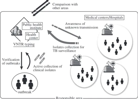 Fig. 3  A molecular epidemiological strategy for tuberculosis in a local government in Japan