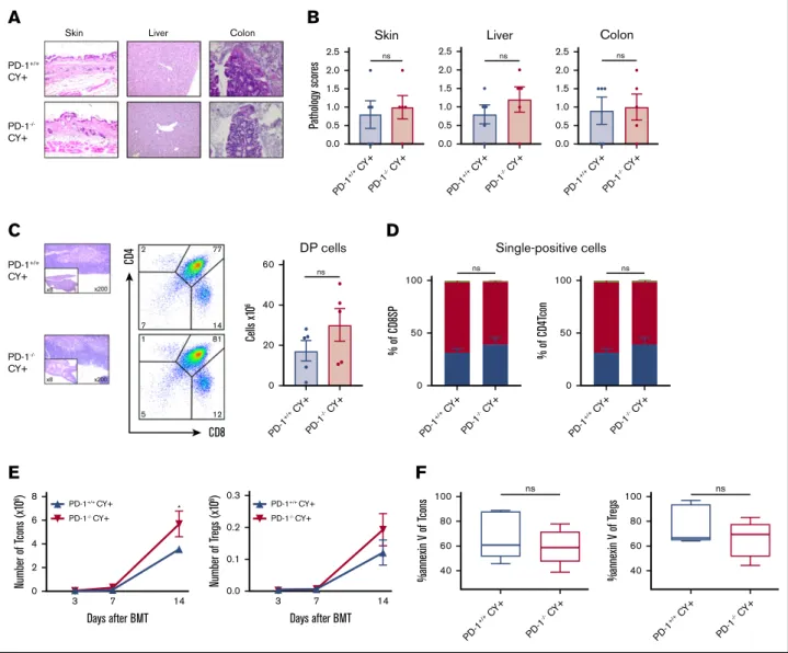 Figure 6. PTCy restored the balanced reconstitution of T-cell subsets and prevented tissue damage