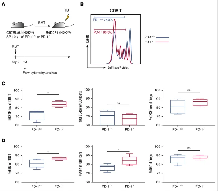 Figure 3. PD-1 2/2 donor graft – derived effector T cells exhibited high proliferative capacity