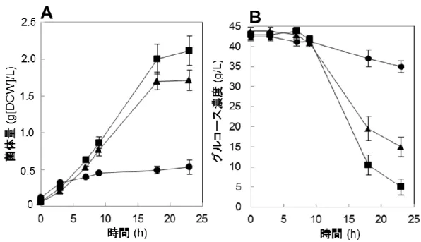 図 2-4  酸性（pH5.0）嫌気条件下における菌体量と培地グルコース濃度の継時的変化  左図 A;  菌体量（g[DCW]/L）、右図 B;  培地中のグルコース濃度（g/L）。 