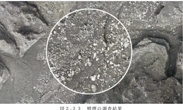 図 ２-２ ３   噴 煙 の 調 査 結 果