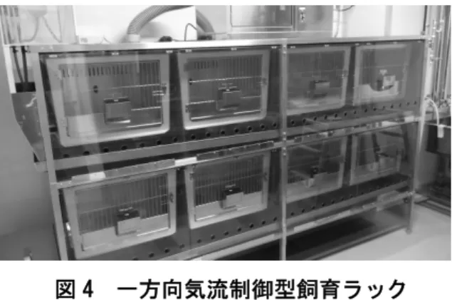 図 4  一方向気流制御型飼育ラック  対応となった。そのため、当初予定されてい た、排水の高圧蒸気による連続加熱型滅菌処理 ステム、排気側の HEPA フィルター、陰圧型ア イソケージシステム等の導入は見送られたが、 バイオセーフティ対応の両面型高圧蒸気滅菌 器や 2 重の PR 等の BSL2 にしてはハイスペッ クなものは残り、少しアンバランスな設備とな っている。使用動物はマウスとラットのみで、 動物種別に 2 つの飼育室を設け、 IVC システム にて飼養している。エリア内には実験用と IVC シ