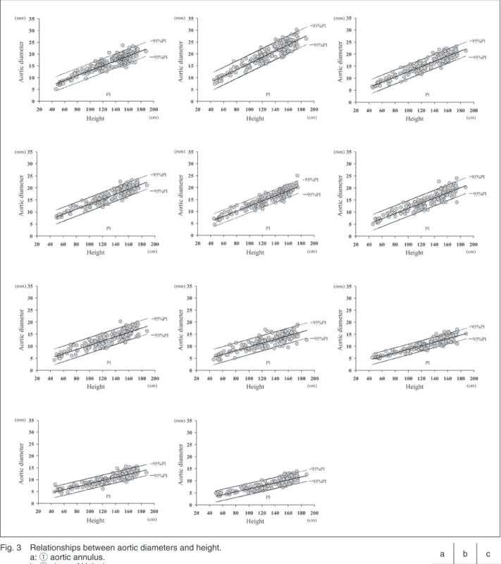 Fig. 3  Relationships between aortic diameters and height. a: ① aortic annulus.