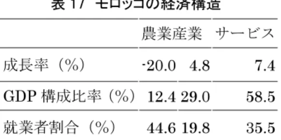 表 17  モロッコの経済構造 