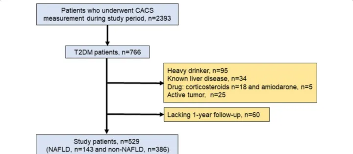Fig. 1  Flowchart of study design. CACS coronary artery calcium score, T2DM type 2 diabetes mellitus, NAFLD non-alcoholic fatty liver disease