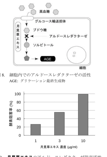 図 8.  細胞内でのアルドースレダクターゼの活性        AGE:  グリケーション最終生成物  020406080100 1 3 10 月見草エキス 濃度 (μg/ml)酵素阻害率 (%) 図 9