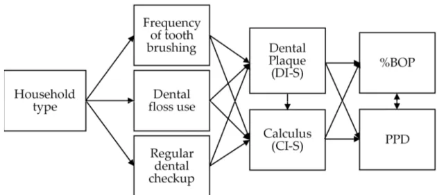 Figure 1. Pathway based on hypothesis showing the association between household type, oral health behavior, oral hy- hy-giene status; Debris Index-Simplified (DI-S) and Calculus Index-Simplified (CI-S), percentage of bleeding on probing  (%BOP), and probin