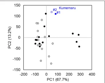 FIGURE 4 | Transcriptomic profiles in comparison to cv. Kumemaru (Km) and 14 predominantly female-producing trees