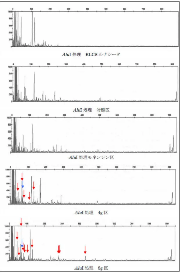 図 5 －３   AluI  処理によるⅠ期試料の T-RFLP  結果