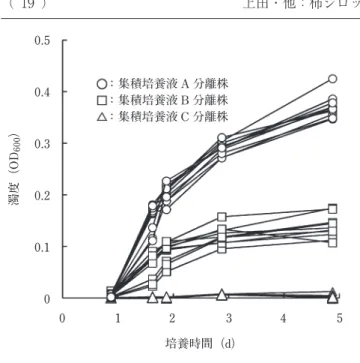 図 2 BFRI 380-7 と Lactobacillus 属の 3 標準株の recA 遺伝子による系統樹