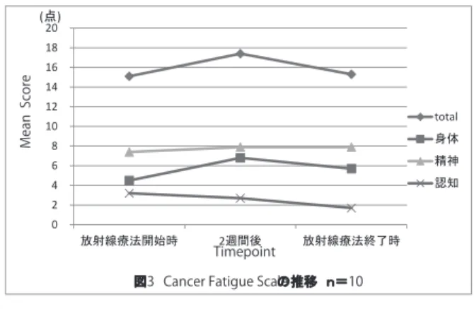 図 3 Cancer Fatigue Scale の推移 ｎ＝ 10 