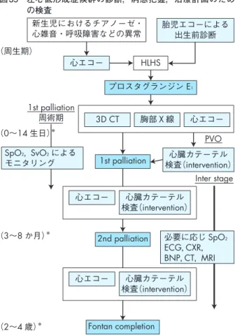 図 39　 左心低形成症候群の診断，病態把握，治療計画のため の検査 （周生期） （0∼14 生日） ＊ （3∼8 か月） ＊ （2∼4 歳） ＊ 心エコー Fontan completion 3D CT 胸部 X 線 心エコーPVO Inter stage1st palliation1st palliation周術期心エコー心臓カテーテル検査（intervention）心臓カテーテル 検査（intervention）心エコー心臓カテーテル検査（intervention）2nd palliation必要に応