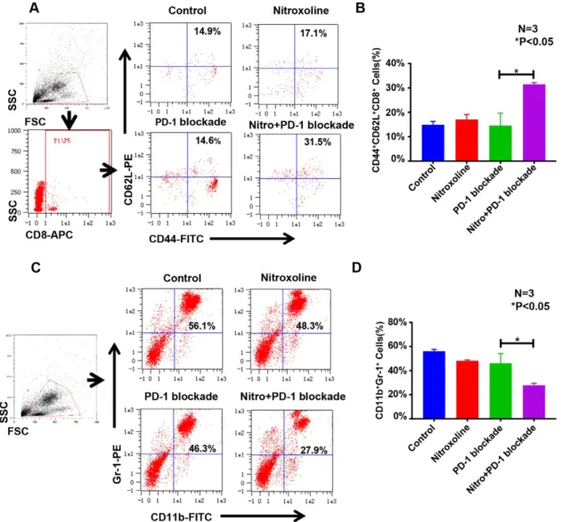 Figure 6. Nitroxoline combined with programmed cell death protein 1 (PD-1) blockade increases CD44 + CD62L + CD8 +  memory T cell numbers and reduces  CD11b + Gr-1 +  myeloid-derived suppressor cell (MDSC) numbers in peripheral blood