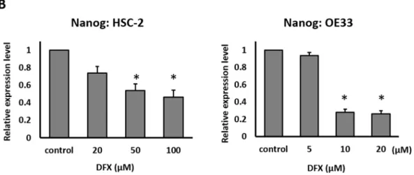 Figure  S6.  (A)  HSC-2  and  OE33  cells  treated  with  different  concentrations  of  DFX  for  48  h  were  analyzed by flow cytometry