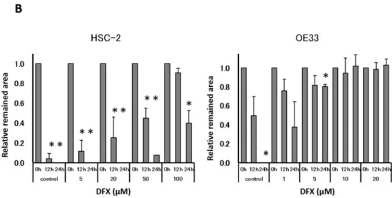 Figure S7. (A) Experiment of migration ability was performed with scratch assay. HSC-2 and OE33  cells were seeded in 6well plates and treated with different concentrations of DFX