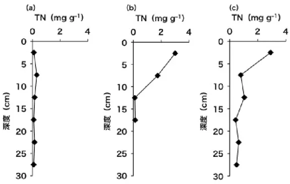 図 2.6  6 月 18 日に堆積が確認された地点における堆積物の全窒素含量の鉛直構造。 (a)4 月、(b)6 月、(c)7 月 