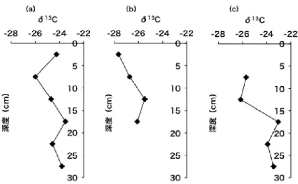 図 2.8  6 月 18 日に堆積が確認された地点における堆積物の炭素安定同位体比の鉛直構 造。(a)4 月、(b)6 月、(c)7 月 