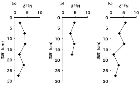 図 2.9  6 月 18 日に堆積が確認された地点における堆積物の窒素安定同位体比の鉛直構 造。(a)4 月、(b)6 月、(c)7 月 