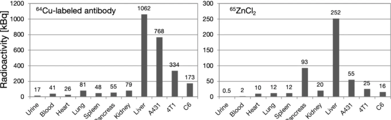 Figure 16 GREI-II による撮像後に計測したマウスの各臓器 / 各腫瘍組織の放射能   [53] 