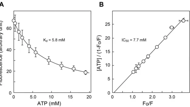 図  3-7.    TNP-ATP の VNUT への結合に対する ATP の親和性