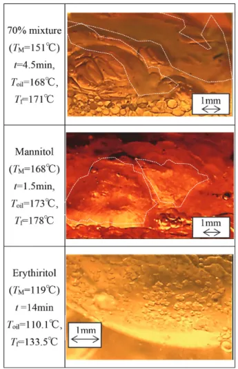 Fig. 13.  Visual observations on primary solidification of PCMs: 
