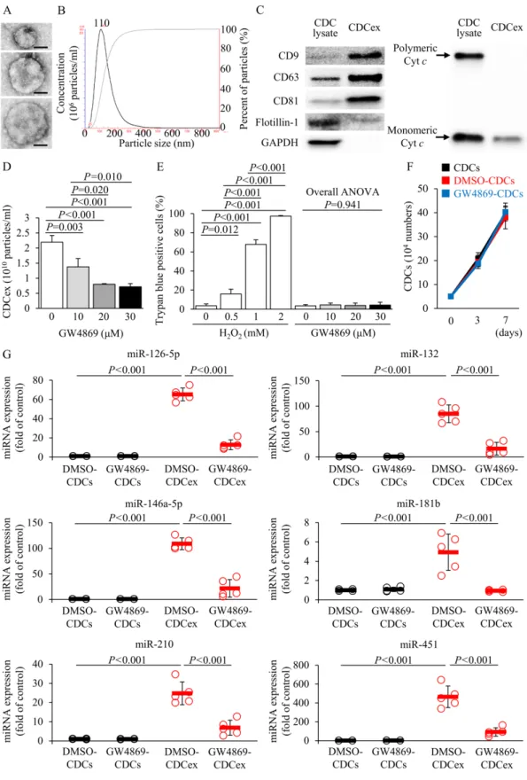 Fig. 2. Exosome isolation and characterization. 