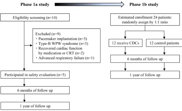 Fig. 4. Study flow chart of TICAP-DCM phase 1 trial. 