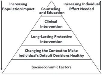 図 10　CDC’s Health Impact Pyramid