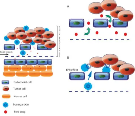 Figure 4. Schematic representation of enhanced permeability and retention (EPR)  effect