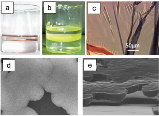 Figure 1.5 Metal film formation at liquid-liquid interface; (a) Au and (b) CdS nanocrystalline  films  formed  at  toluene-water  interface  [82],  (c)  cross-linked  Au  nanoparticles  at  air-water  interface [85], (d-e) iron hydroxide oxide film prepare