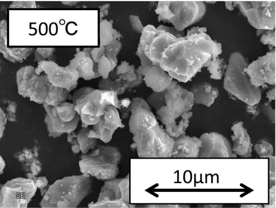 図 2.2.4 (c)  温度条件が 500℃ の場合の SEM 像