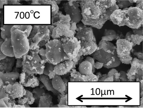 図 2.2.4 (e)  温度条件が 700℃の場合の SEM 像