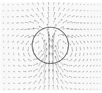 図 4.3  気泡・粒子にあたる流れ構造 