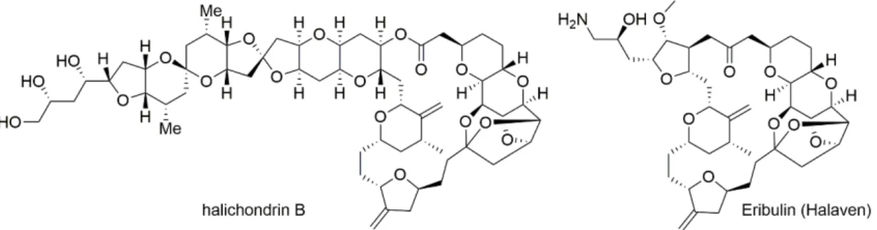 Figure 2. halichondrin B 及び Eribulin (Halaven) の化学構造