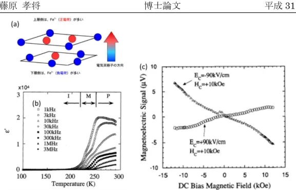 図 2 2----6 2 2 6 6  6 R R R R Fe Fe Fe Fe 22 2 2 O O O O 44 4 4 の誘電性 の誘電性 の誘電性 の誘電性  (a)  (a)  (a)  (a)  R R R R Fe Fe Fe Fe 22 2 2 O O O O 44 4 4 の電荷秩序配列のイメージ図 の電荷秩序配列のイメージ図 の電荷秩序配列のイメージ図 の電荷秩序配列のイメージ図 [34] [34] [34] [34] 。二枚ある三角格子 。二枚ある三角格子 。二枚ある三角格子 。二枚