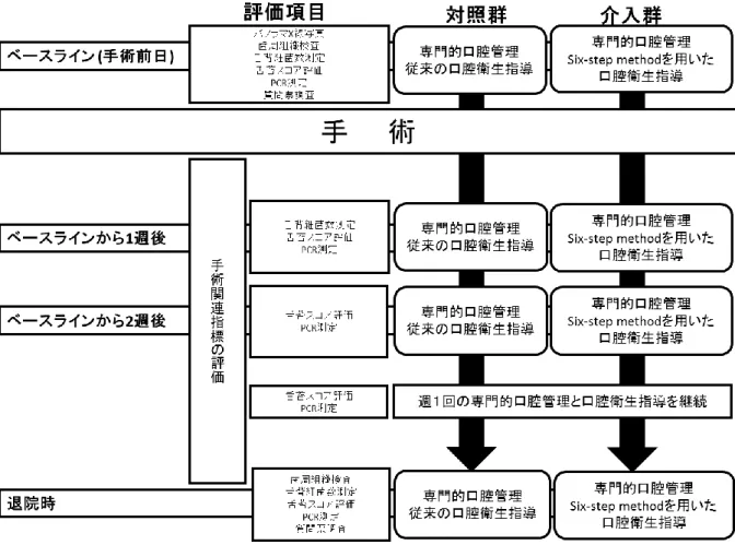 図 2 ． 2 群間における評価項目と介入方法 
