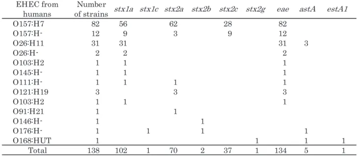Table 1    Summary of stx subtype pattern and virulence genes distribution 