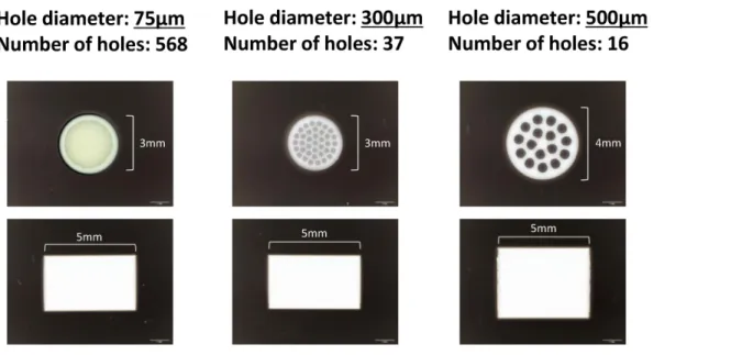 Figure 1. The honeycomb TCP structure used in this experiment. 