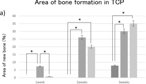 Figure 4. Quantitative analysis of the hard tissue area. (a) Quantification of the neonatal bone tissue area in the TCP holes
