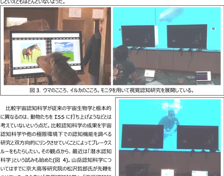 図 3.  ウマのこころ、イルカのこころ。モニタを用いて視覚認知研究を展開している。 