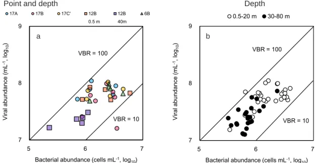 Figure 3.6  VBR (viruses to bacteria ratio) at (a) surface water in 17A, B, C’, 12B, 6B and  40 m in 12B and (b) water column in 17B, through July to December in 2016