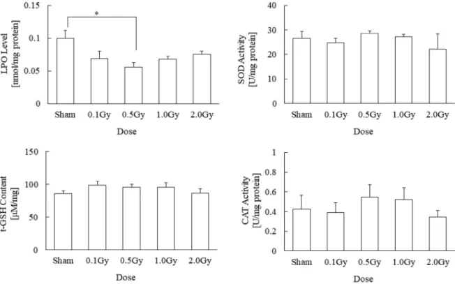 Fig. 5. Effects of post X-irradiation on oxidative stress markers in the brains of mice receiving different doses of irradiation after the forced swim test