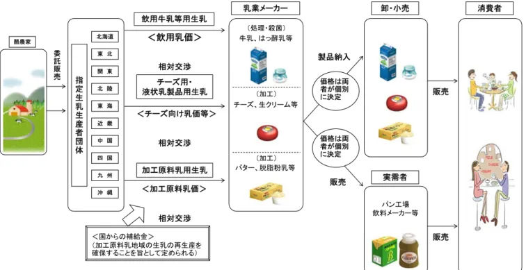 図 6：牛乳乳製品の流通  酪農家 委 託 販 売 北海道東　北関　東 北　陸 東　海 近　畿 中　国 四　国 九　州 沖　縄指定生乳生産者団体 飲用牛乳等用生乳＜飲用乳価＞相対交渉チーズ用・ 液状乳製品用生乳 ＜チーズ向け乳価等＞相対交渉＜加工原料乳価＞ 相対交渉 加工原料乳用生乳 乳業メーカー（処理・殺菌） 牛乳、はっ酵乳等（加工） チーズ、生クリーム等（加工）バター、脱脂粉乳等 卸・小売価格は両者が個別に決定価格は両者が個別に決定実需者製品納入販売 パン工場 飲料メーカー等 販売 販売 消費者＜国から