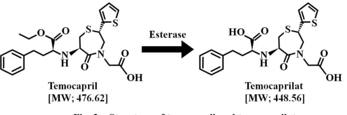 Table 1    Prediction approach of human intestinal metabolism Fig. 2    Structure of temocapril and temocaprilat 