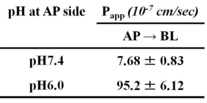 Table 3    Apparent permeability coefficients (P app ) of temocapril across Caco-2 