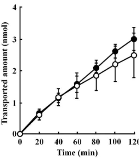 Fig. 6    Transport of temocaprilat through Caco-2 cell monolayers 