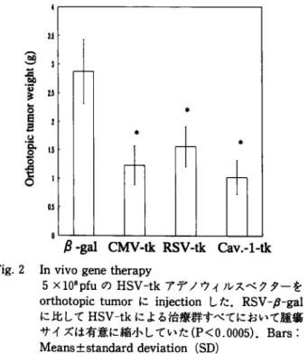 Fig.  2  In  vivo  gene  therapy