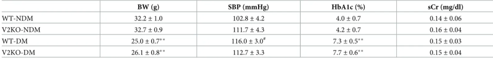 Table 1. Characteristics of non-diabetic and diabetic wild-type and VASH2-deficient mice at the end of study.